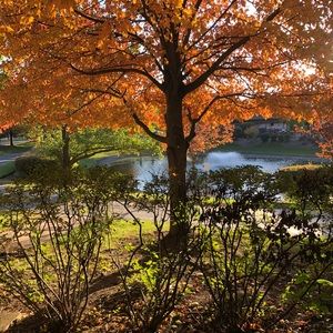 Meet your Posher, Fabiola